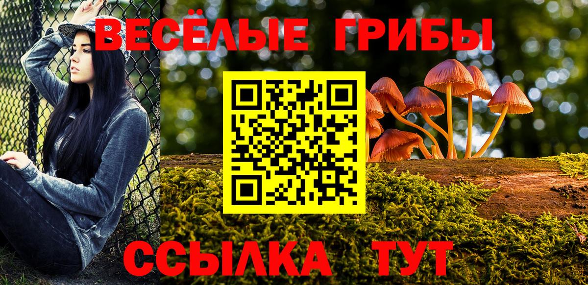 Псилоцибиновые грибы MAGIC MUSHROOMS  Вход с VPN  Белгород  Псилоцибиновые грибы GOLDEN TEACHER 