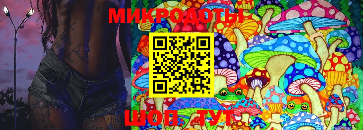 дарнет шоп  Галлюциногенные грибы Psilocybe  Белгород  Псилоцибиновые грибы Magic Shrooms 