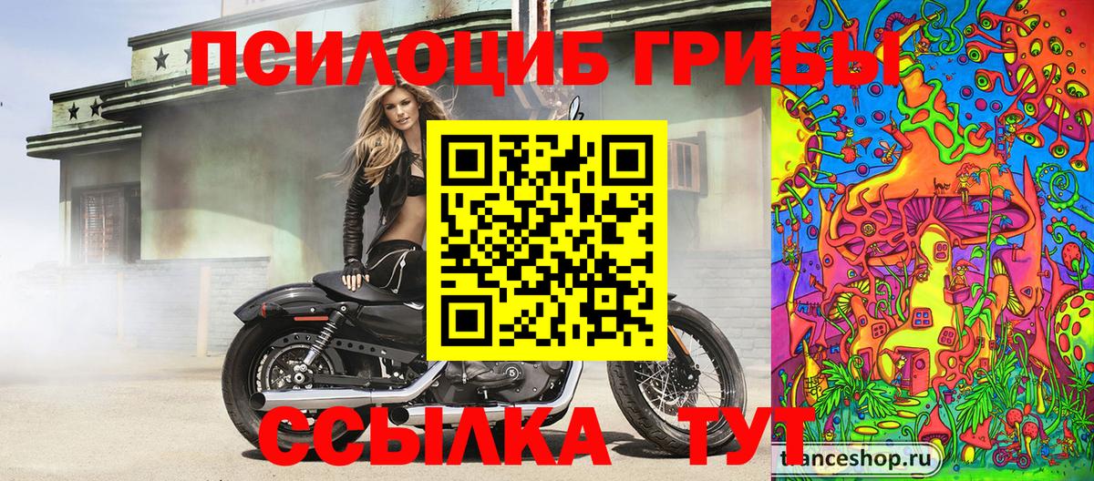 Псилоцибиновые грибы прущие грибы Белгород